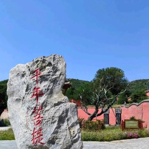 它是一座冷门的千年古寺：藏于孤岛之上，一颗菩提树与古刹相伴 ...